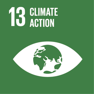 Sustainable Development Goal 13: Climate action